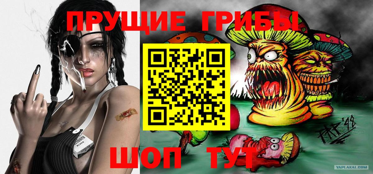 Коряжма  Псилоцибиновые грибы Magic Shrooms  Вход с VPN 